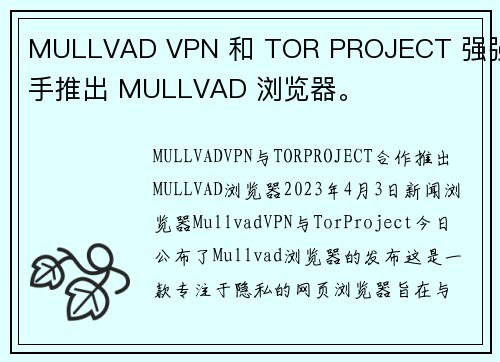 MULLVAD VPN 和 TOR PROJECT 强强联手推出 MULLVAD 浏览器。 